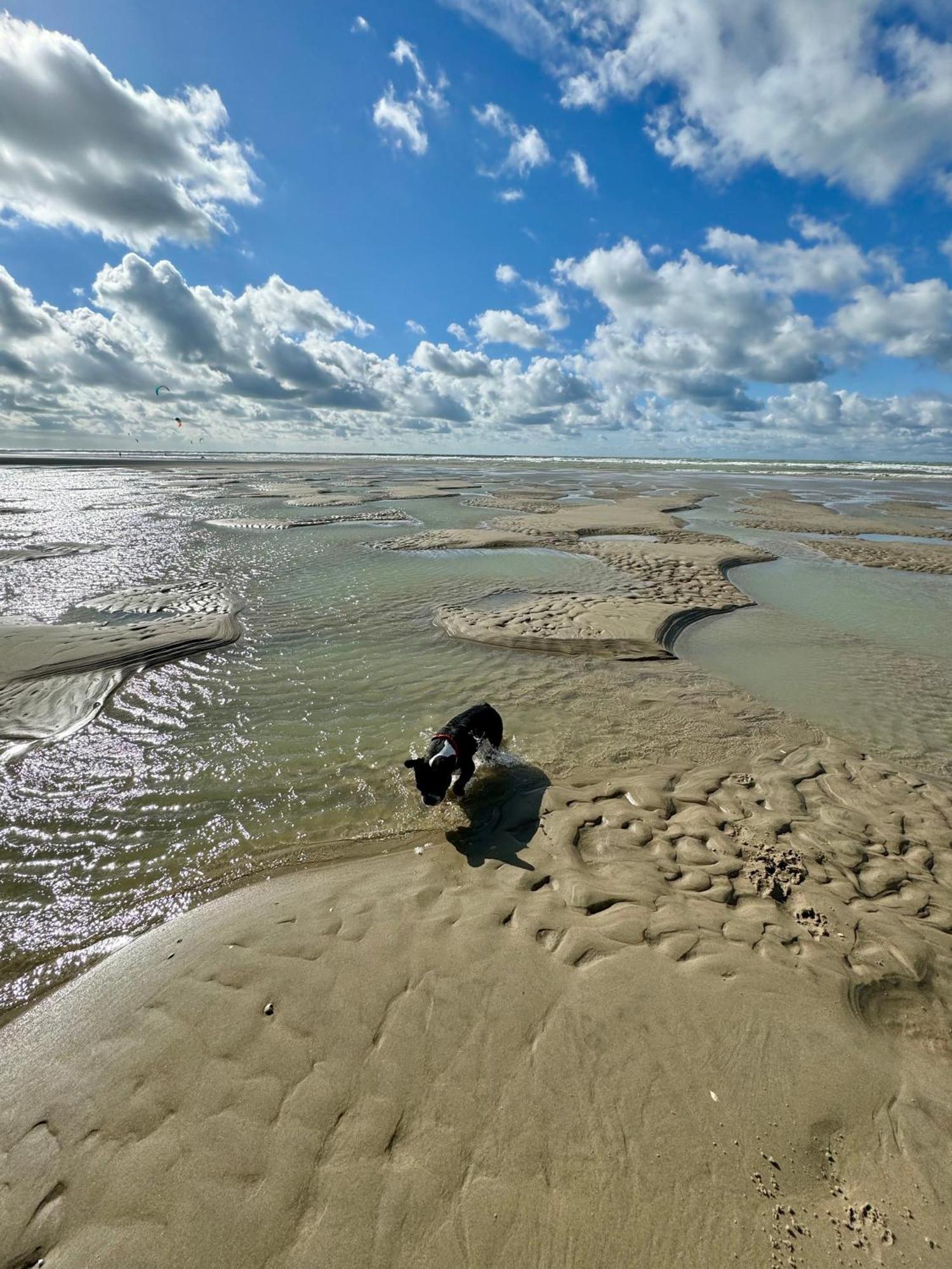 Le Paillette T2 400 M De La Plage Berck Esterno foto