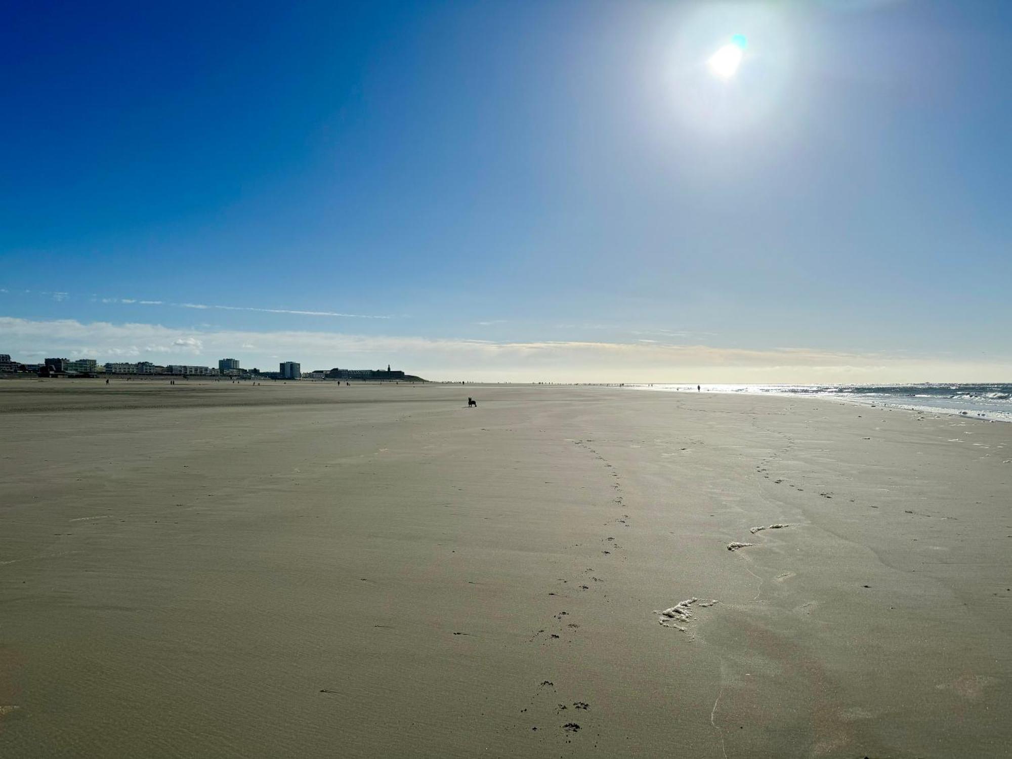 Le Paillette T2 400 M De La Plage Berck Esterno foto