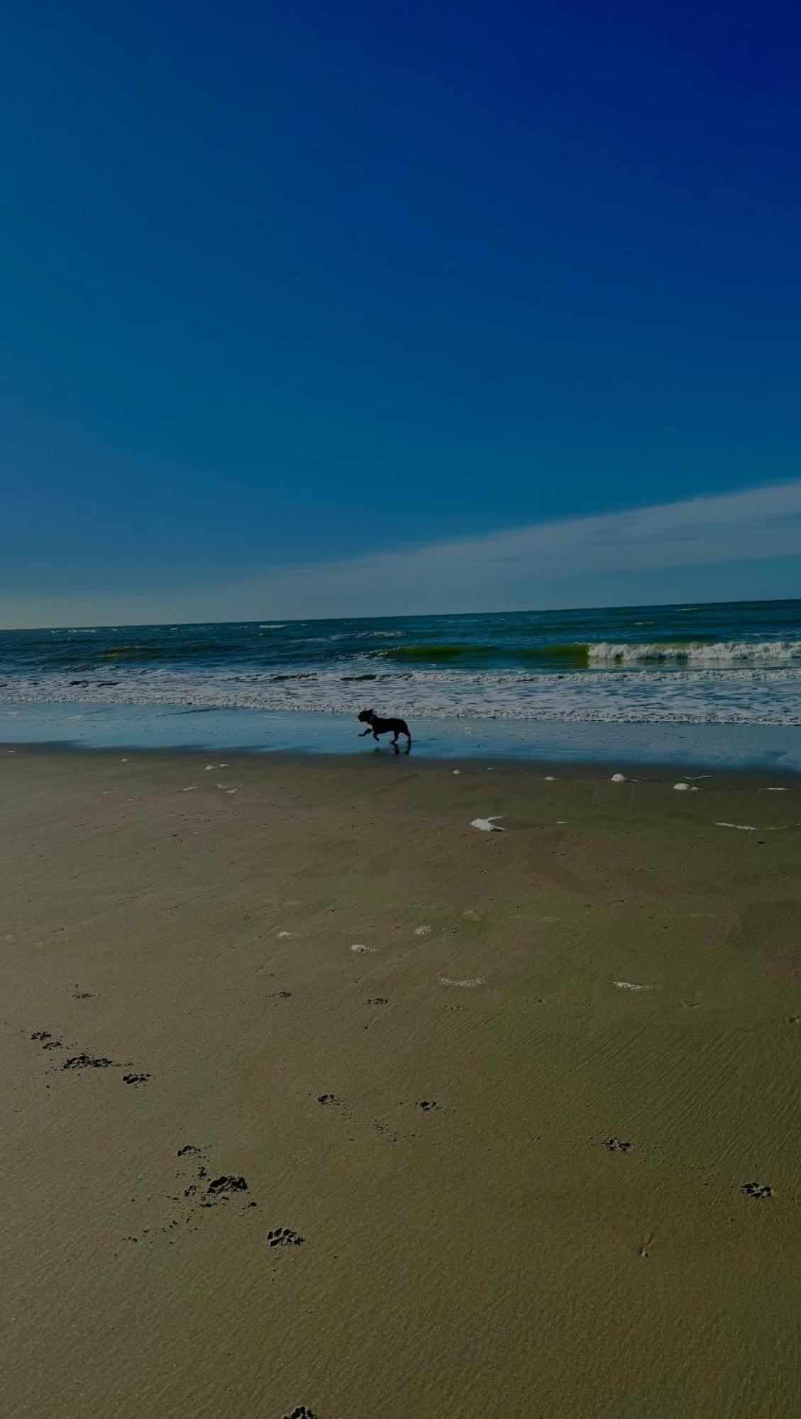 Le Paillette T2 400 M De La Plage Berck Esterno foto