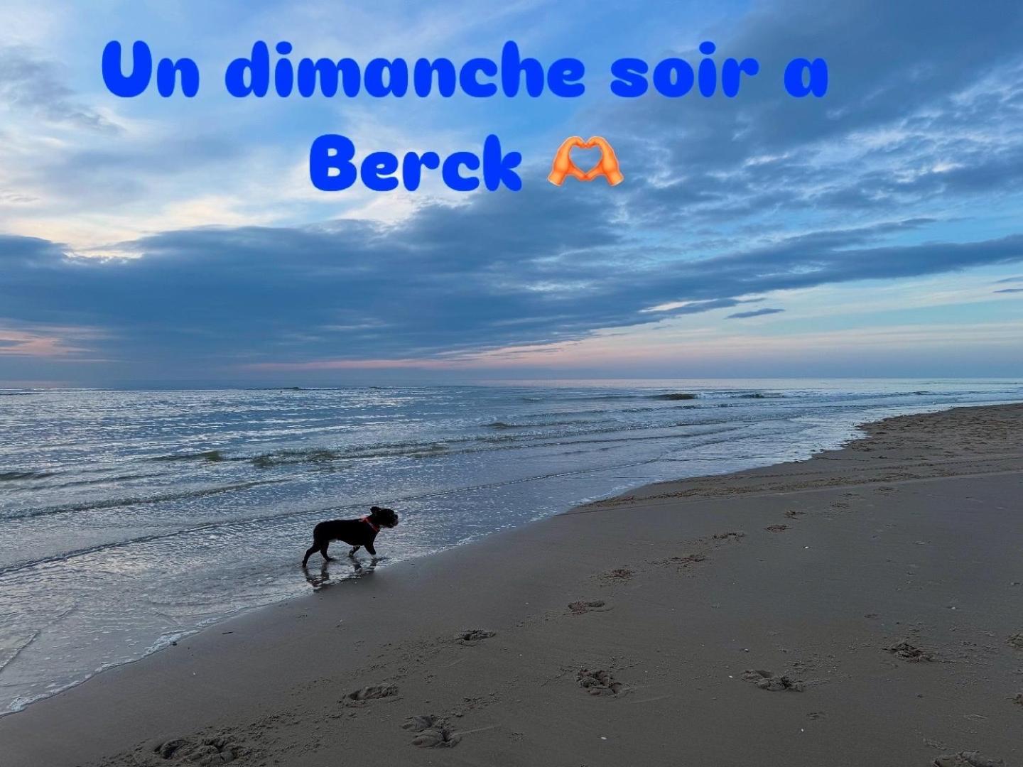 Le Paillette T2 400 M De La Plage Berck Esterno foto